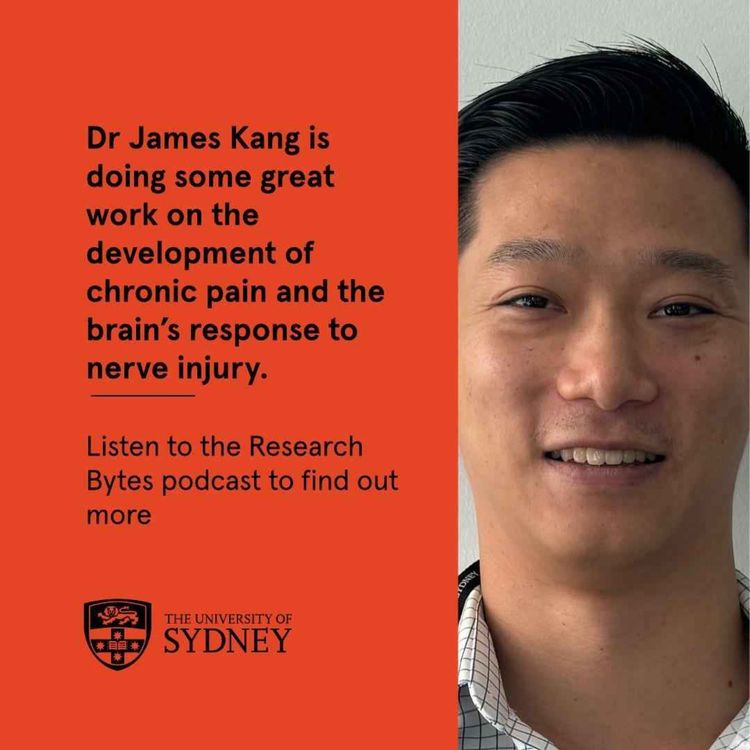 cover art for Dr James Kang on chronic pain and the brain's response to nerve injury