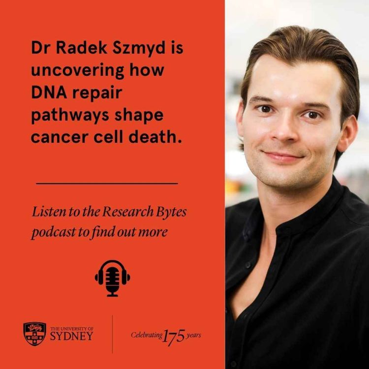 cover art for Dr Radek Szmyd is uncovering how DNA repair pathways shape cancer cell death