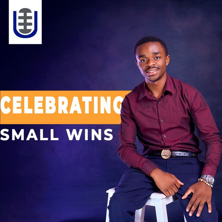 cover art for Celebrating Small Wins