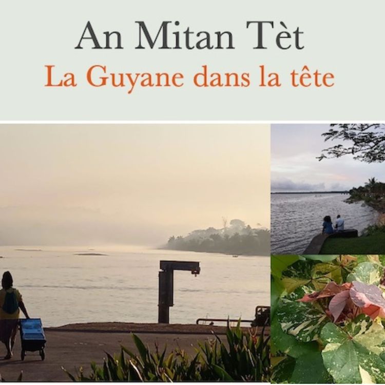 cover art for Pierre-Henri témoigne : enseigner à Maripasoula