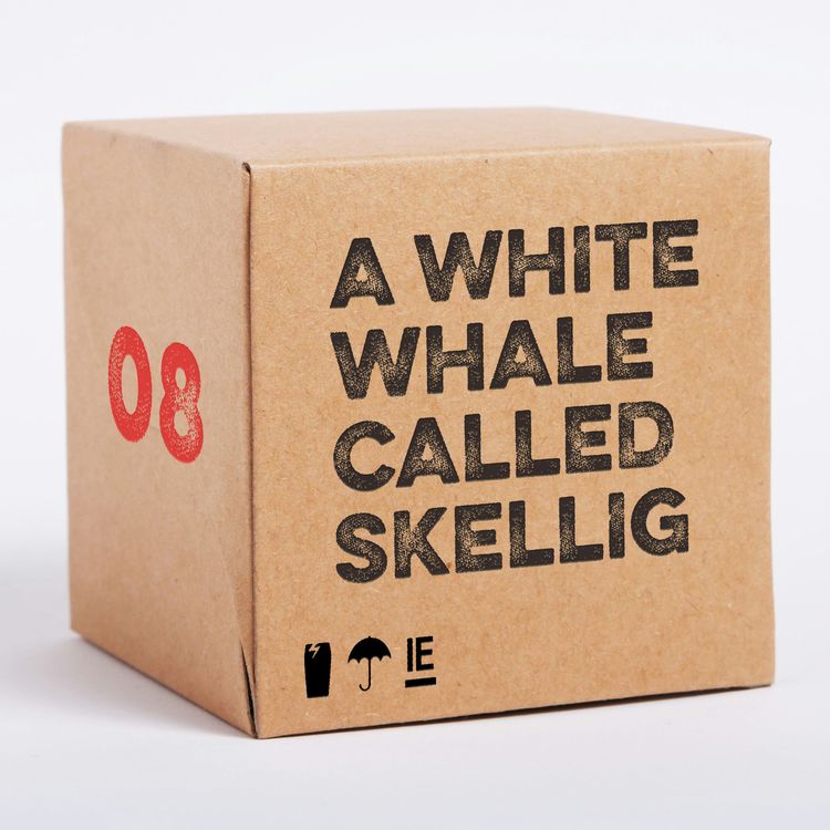 cover art for A White Whale Called Skellig