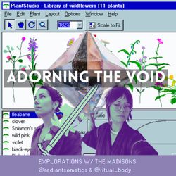 cover art for ADORNING THE VOID