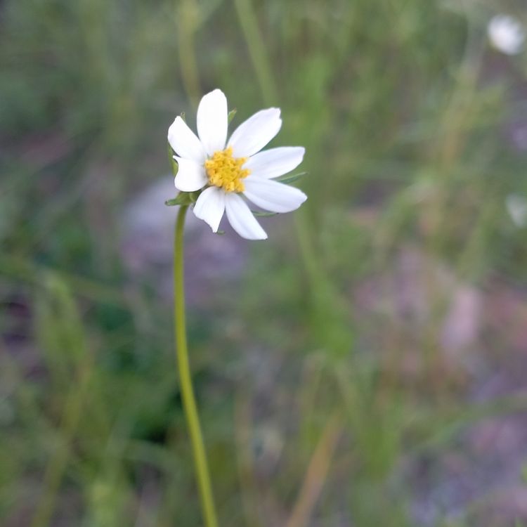 cover art for Una pequeña parte de todo