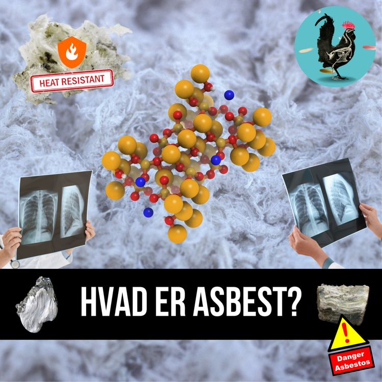 cover art for #202: Hvorfor er asbest så farligt?