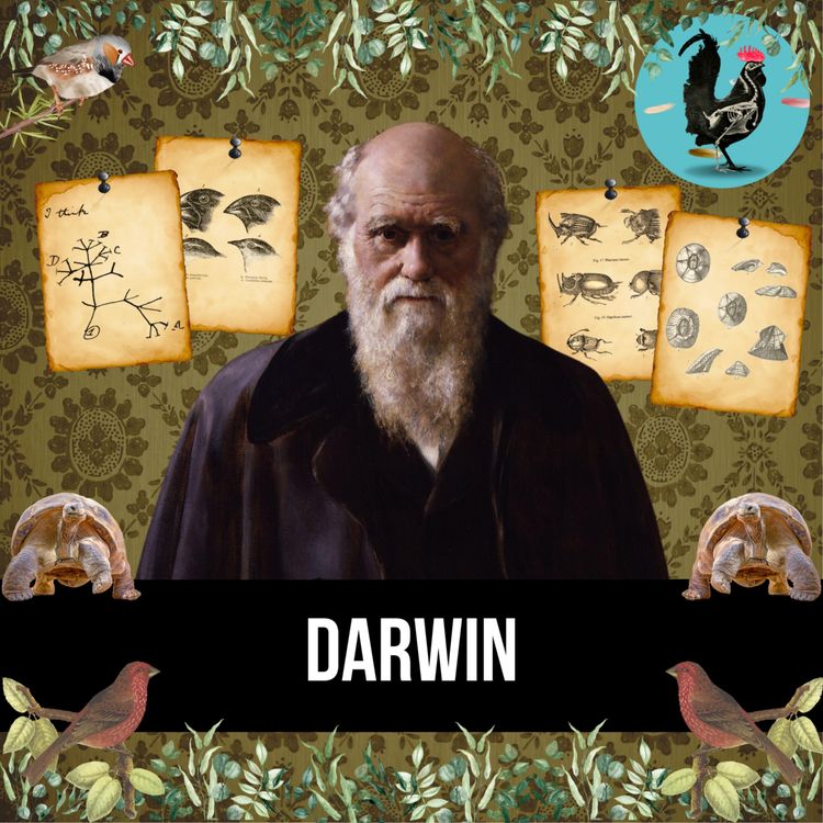 cover art for #208: Charles Darwin (live)