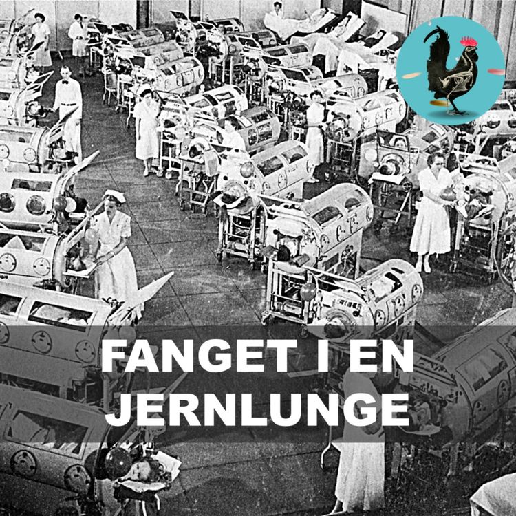 cover art for #225: Polio: Sygdommen der æder dit nervesystem