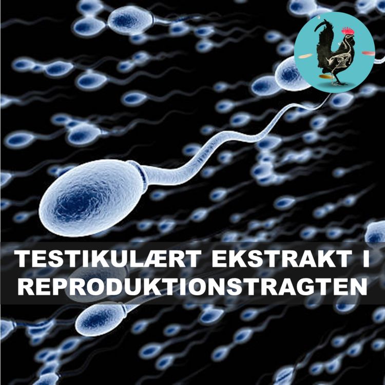 cover art for #228: Sædens lægelige egenskaber (1945)