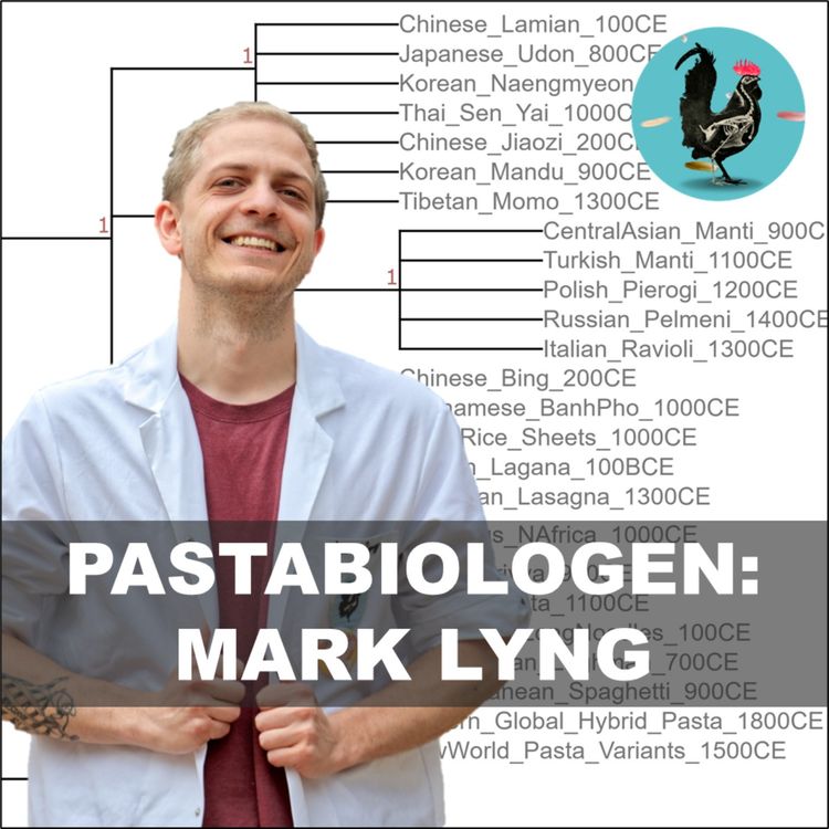 cover art for #229: "Pastaevolution" og "Spaghettitaksonomi"