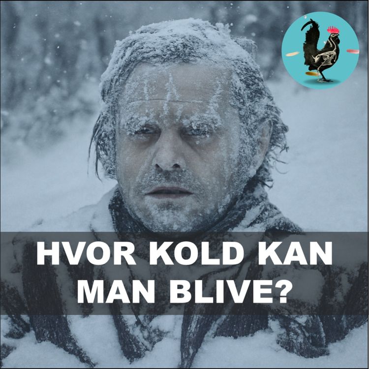 cover art for #233: Den kolde død: Kuldeforsøg i koncentrationslejrene