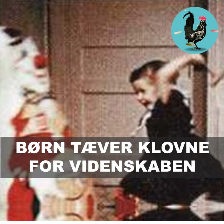cover art for #236: Bobo dukke eksperimentet
