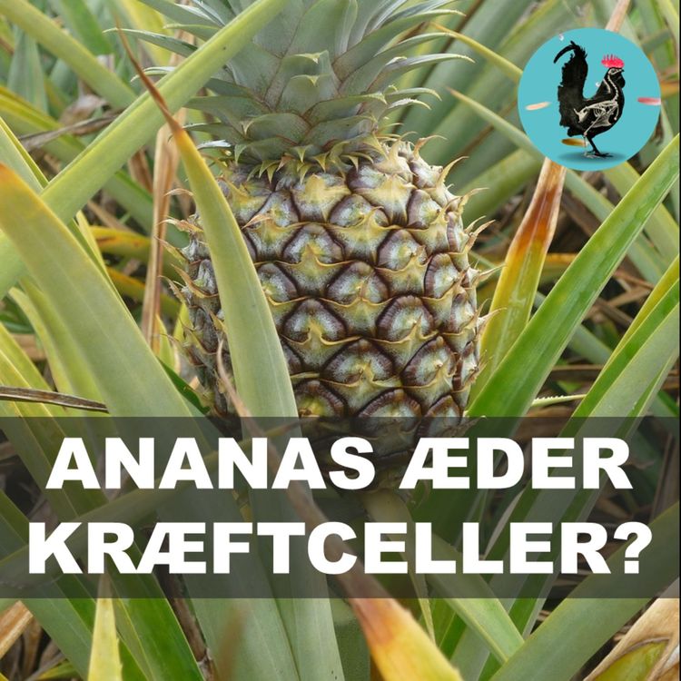 cover art for #240: Frugten der spiser dig, mens du spiser den