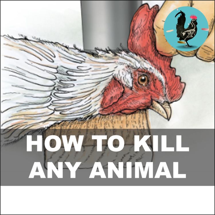 cover art for #242: Harambe skulle have haft en opium slikkepind