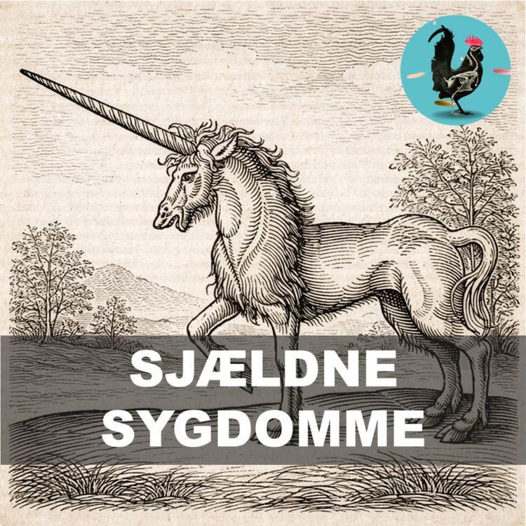 cover art for #255: De sygdomme som vi ikke forstår