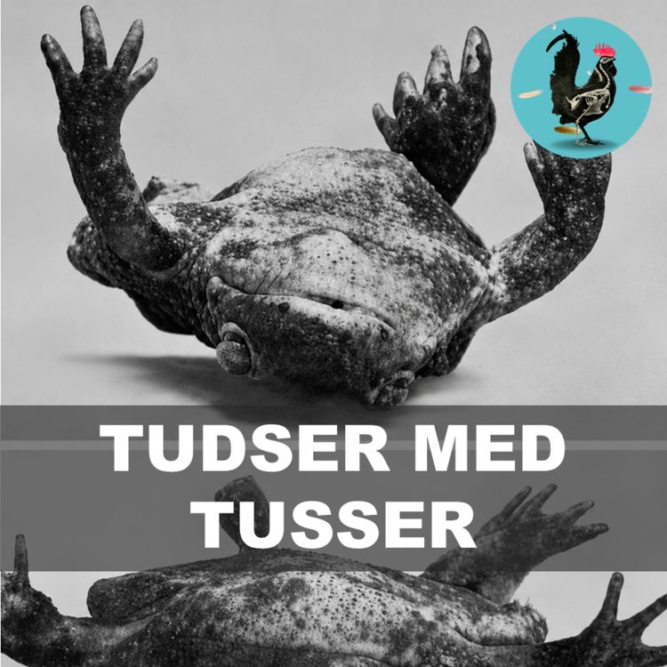 cover art for #268: Han tatoverede frøer for at modbevise evolution