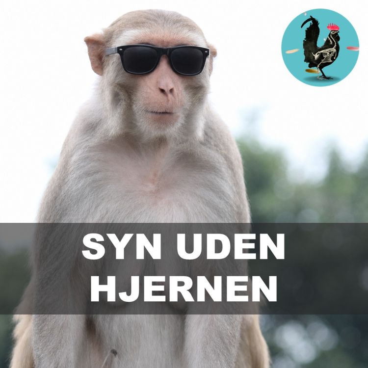 cover art for #269: Sommersjov med Mark 2: Blinde aber der ser