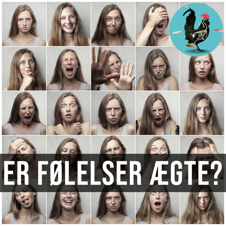 cover art for #125: Hvad er følelser?