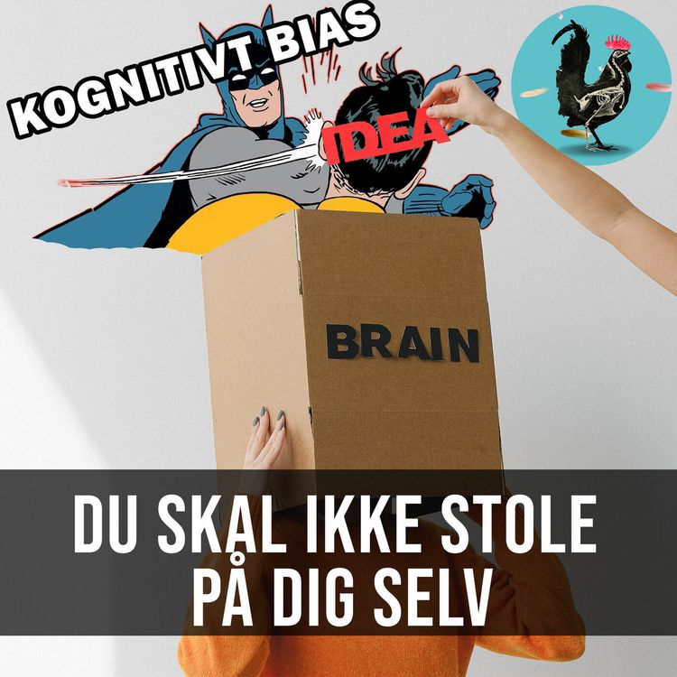 cover art for #123: Kognitivt bias