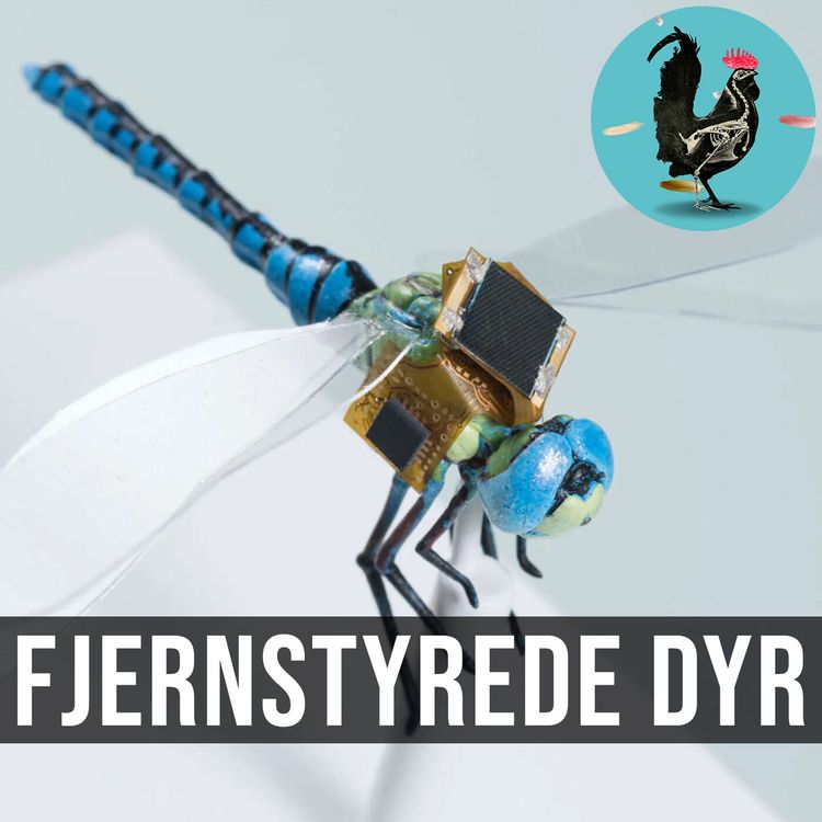 cover art for #119: Cyborg-møllet der udspionerer fjenden