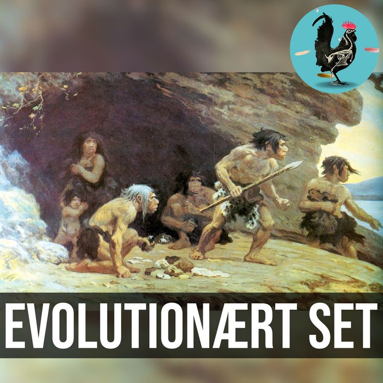 cover art for #112: Hvorfor gør vi som vi gør?