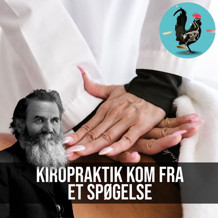 cover art for #111: Kiropraktik er baseret på pseudovidenskab