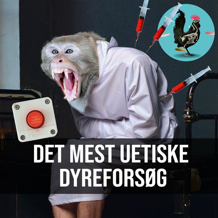 cover art for #102: Aber på stoffer