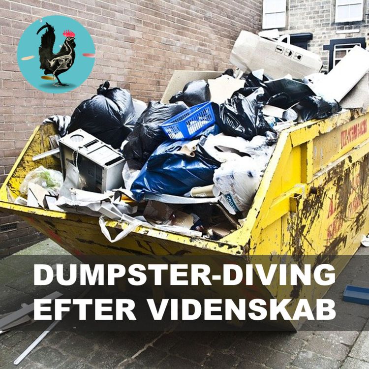 cover art for #089: Vi Bedømmer Dårlig Videnskab