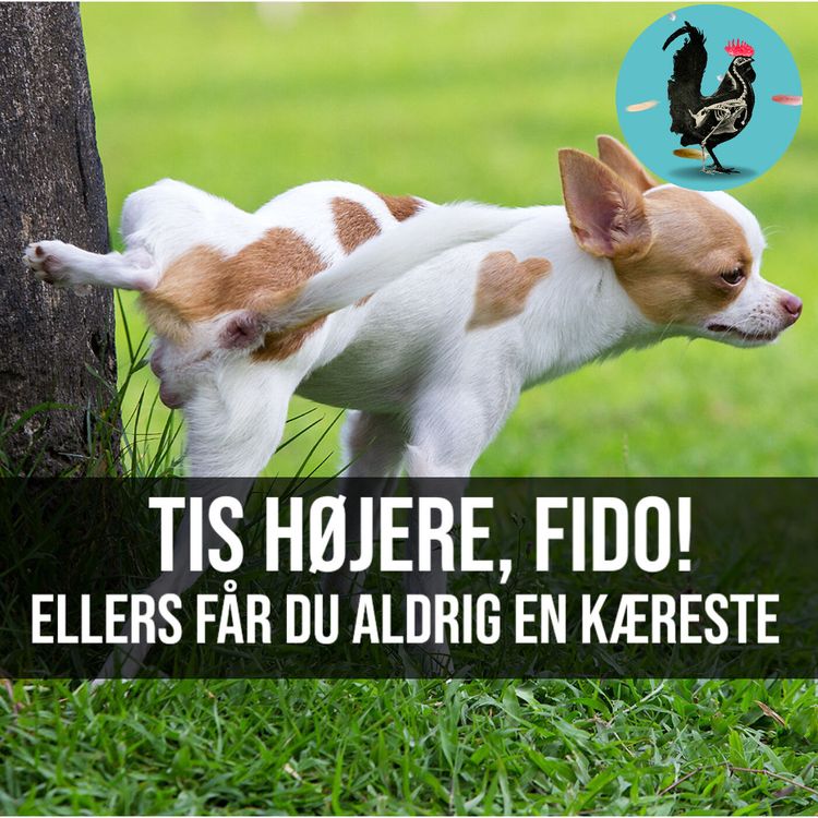 cover art for #085: Små hunde lyver også på Tinder