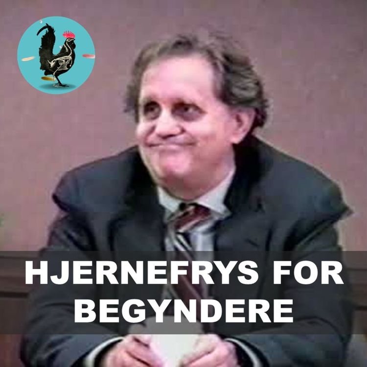 cover art for #084: Hjernefrys for begyndere