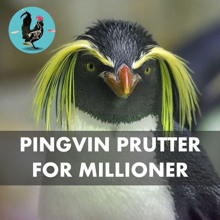 cover art for #078: Million-forskning i pingvin-skidning