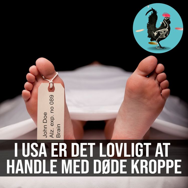 cover art for #069: Kræmmermarked for kropsdele