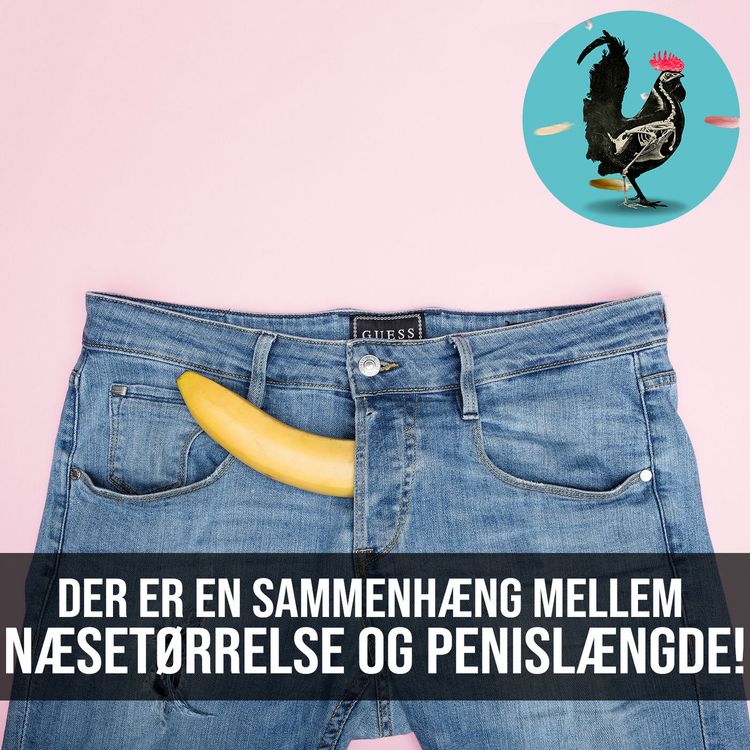 cover art for #066: Penis p-værdier fra tissemands t-tests