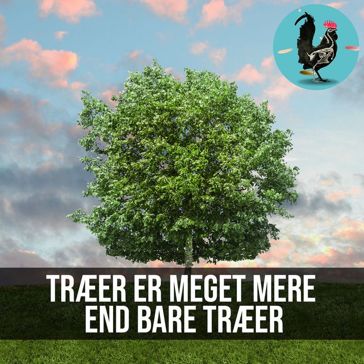 cover art for #064: Hvad taler træer om?