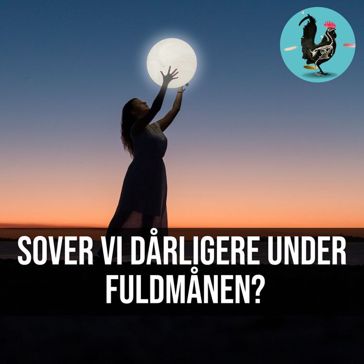 cover art for #057: Fuldmånen fucker med os