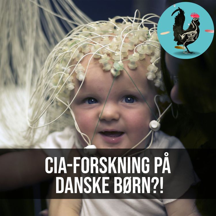 cover art for #055: Danmarks hemmelige børneforsøg