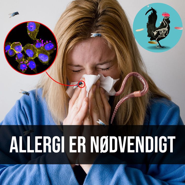cover art for #034: Hvorfor er vi allergiske?