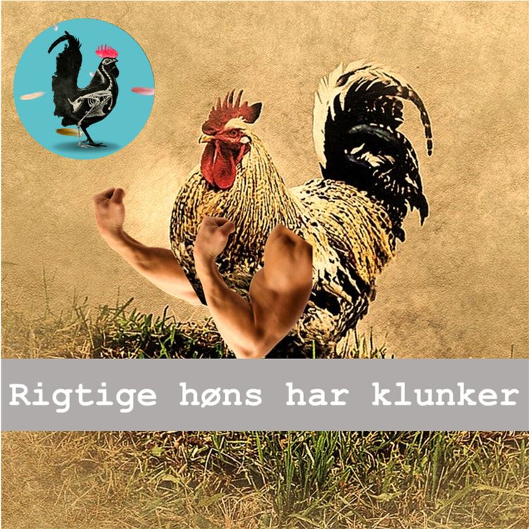 cover art for #027: Virtuelle hønse-klunker