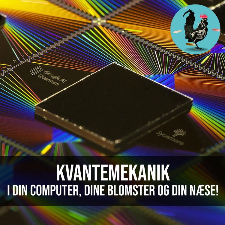 cover art for #023: Kvantemekanik (m/datalog Jonas Bamse Andersen)