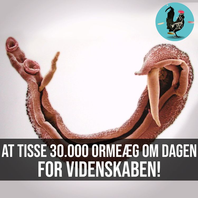 cover art for #019: Læger der forsker på sig selv