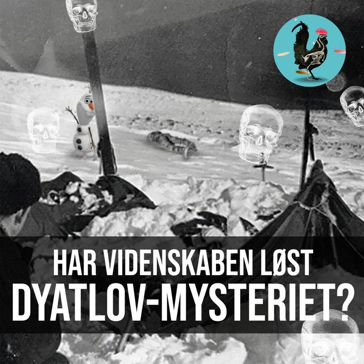 cover art for #015: Hvad kan vi lære af lig? (GRAFISK INDHOLD)