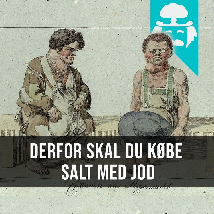 cover art for #008: Hvorfor kan jeg ikke komme i hæren?