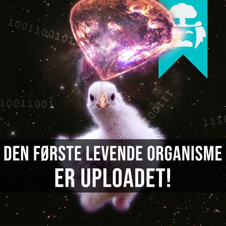 cover art for #006: Digital udødelighed