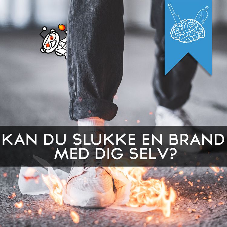 cover art for #3.78: Forskere på Reddit