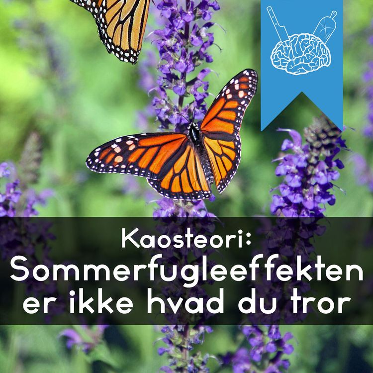 cover art for #3.60: Du er 93% forudsigelig