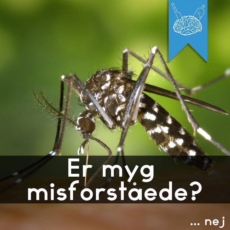 cover art for #3.54: Misforståede monstre (myg og edderkopper)