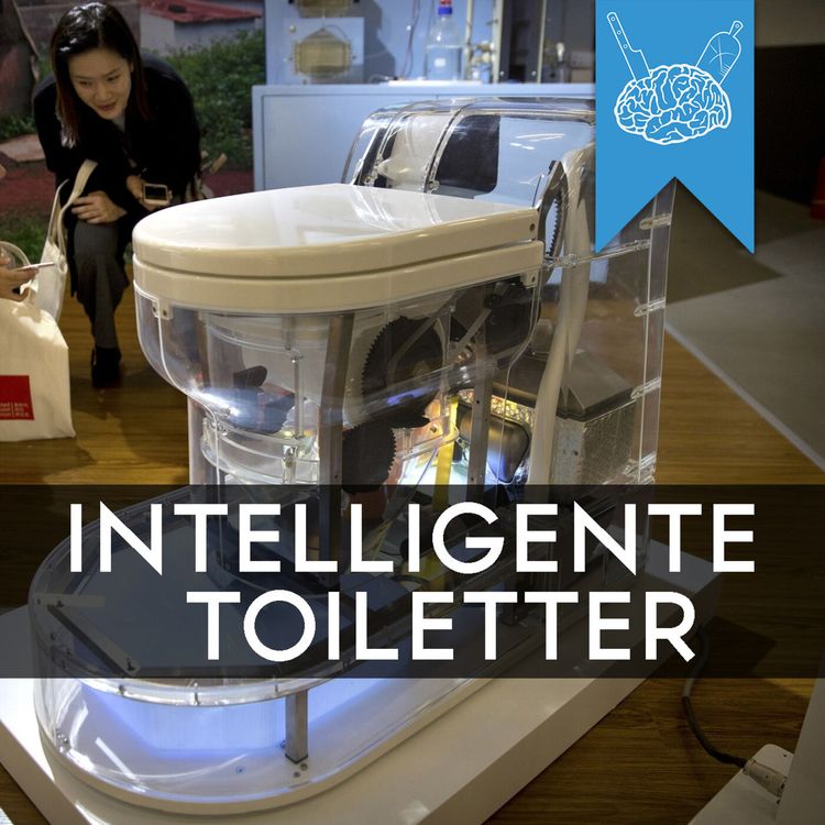 cover art for #3.45: Hvordan skal toiletpapiret (videnskabeligt set) hænge?