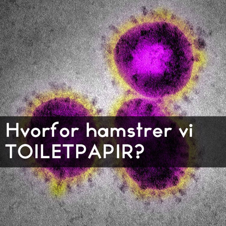 cover art for #3.41: Hvorfor hamstrer vi toiletpapir?