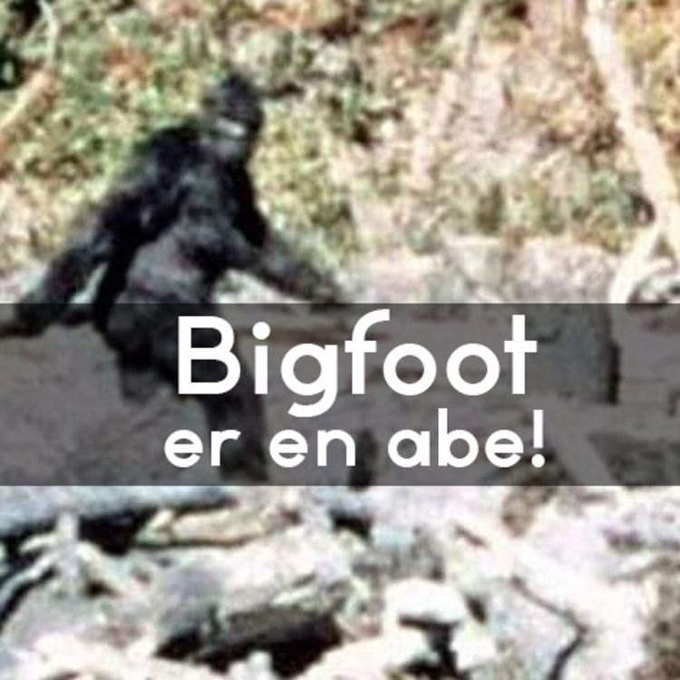 cover art for #3.34: Hvad er Bigfoot egentligt?