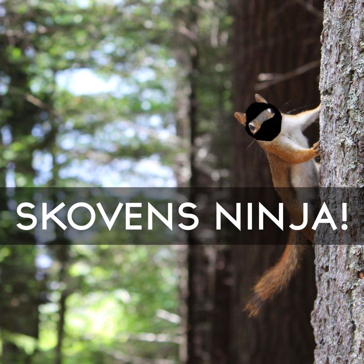 cover art for #3.28: Egern - Skovens ninja!