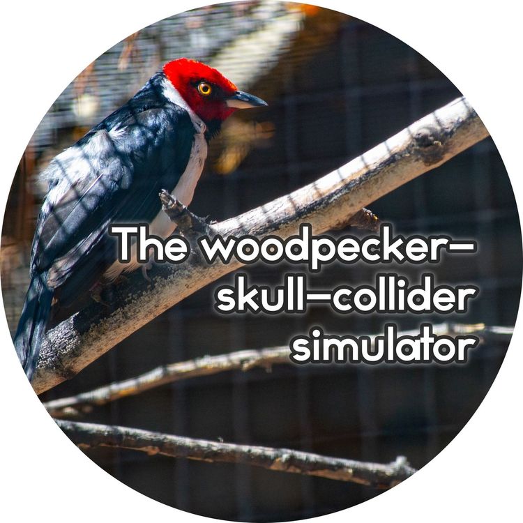 cover art for #2.23: The woodpecker-skull-collider simulator