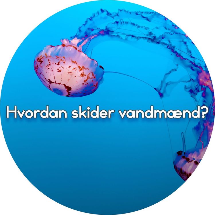 cover art for #2.22: Hvordan skider vandmænd?